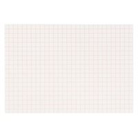 Nienhuis - Squared Paper: 10 mm - Pack of 250