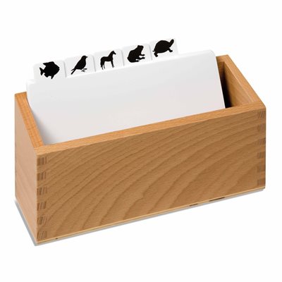Animal Puzzle: Copy Masters Box