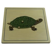   Turtle Puzzle Economy