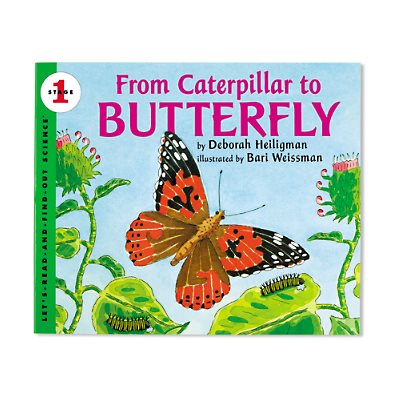 From Caterpillar to Butterfly Big Book