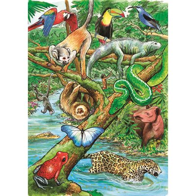  Life in a Tropical Rainforest Tray Puzzle