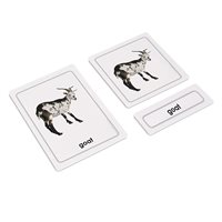Animal Young 3 Part Cards (Plastic & Cut)