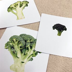 D- Vegetable Halves Sorting Cards