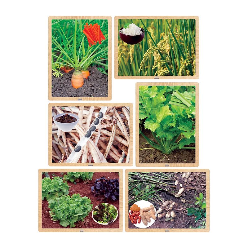 Foods from the Earth Wooden - Puzzle - 6pc