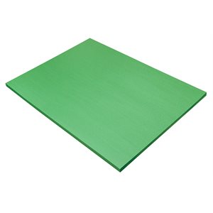 Construction Paper - 18" x 24" - Holiday Green
