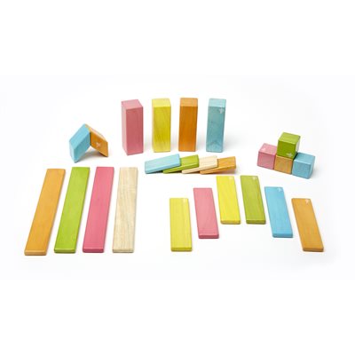 Tegu™ 24 Piece Magnetic Wooden Building Block Set - Tints