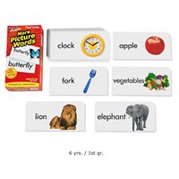 More Picture-Words Flash Cards