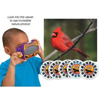 Birds Science Viewer