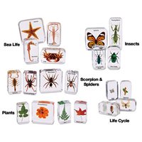 Easy-View Science Specimens - Complete Set